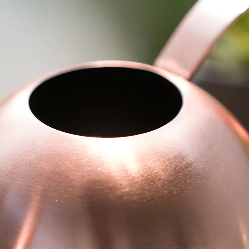 Stainless Steel Watering Can with Long Spout (Home Use)