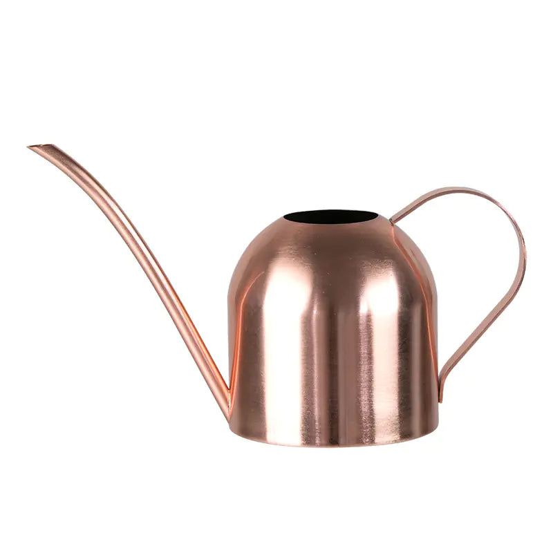 Stainless Steel Watering Can with Long Spout (Home Use)