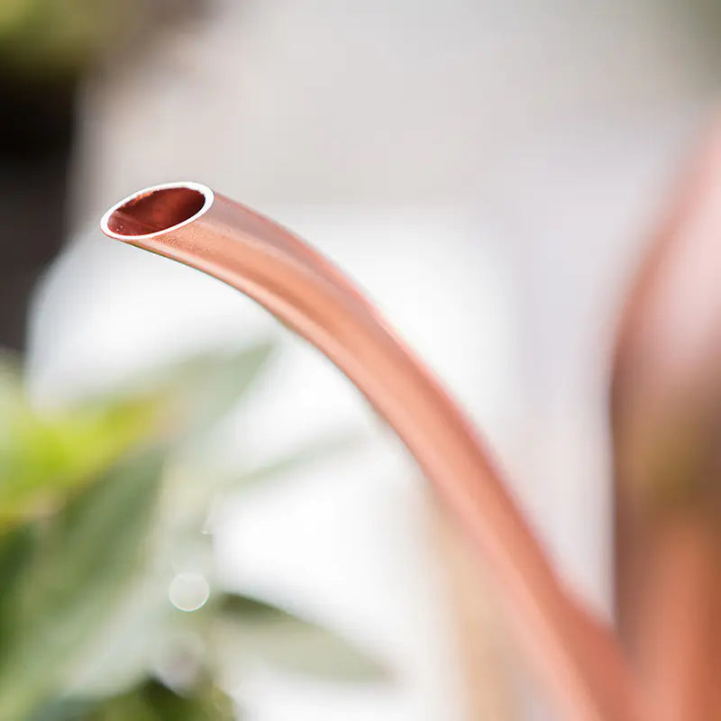 Stainless Steel Watering Can with Long Spout (Home Use)