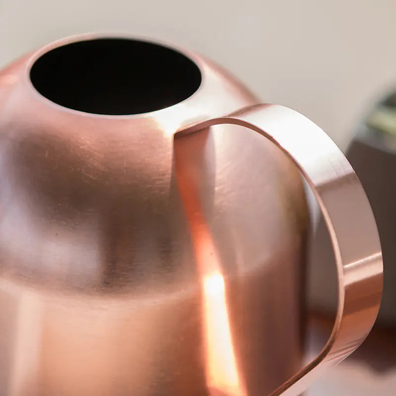 Stainless Steel Watering Can with Long Spout (Home Use)