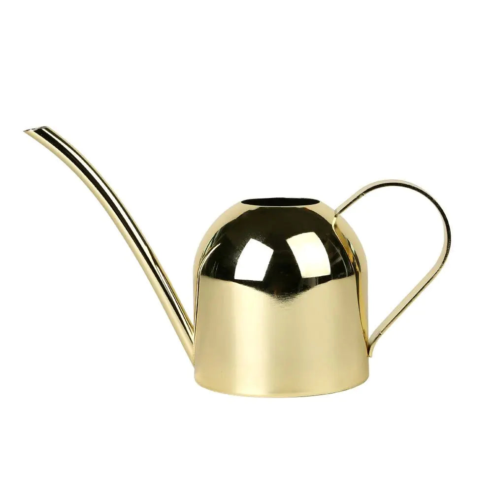 Stainless Steel Watering Can with Long Spout (Home Use)