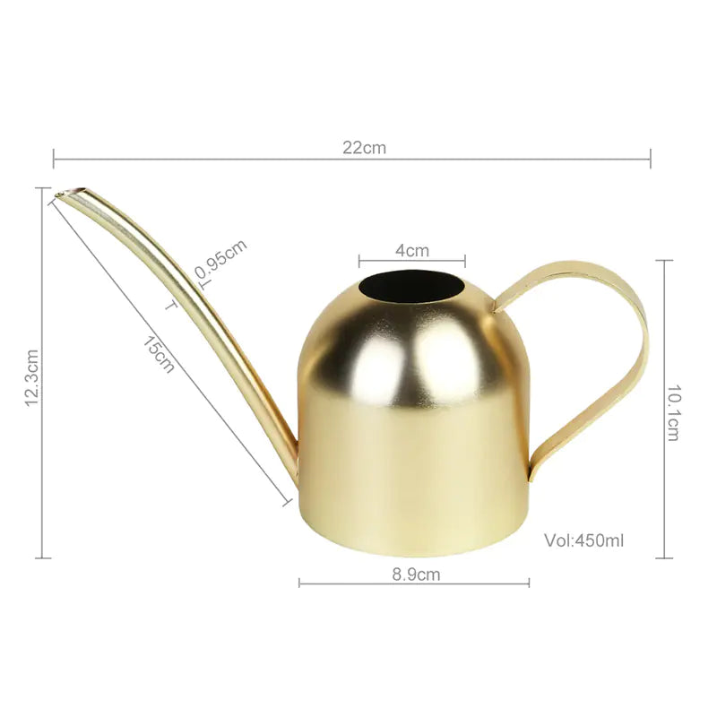 Stainless Steel Watering Can with Long Spout (Home Use)